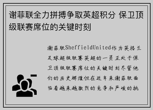 谢菲联全力拼搏争取英超积分 保卫顶级联赛席位的关键时刻