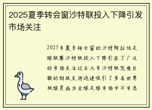 2025夏季转会窗沙特联投入下降引发市场关注 2025夏季转会窗沙特联投入下降引发市场关注